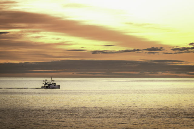 Crossed The Ocean For A Heart Of Gold - The fishing boat "Result" heads out on calm seas into a glorious colourful sunrise.