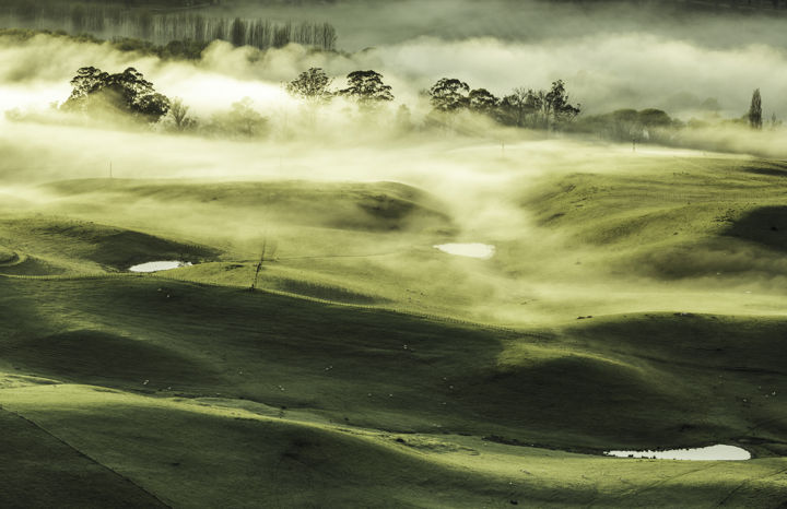 Misty Tukituki Valley - Early morning fog over farmland in Tukituki Valley