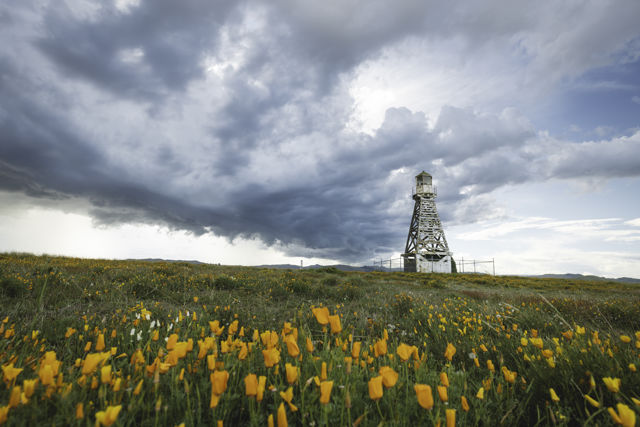 Beacons, Storms And Wild Flowers - The historic smaller beacon with beautiful wild-flowers in the foreground on a stormy day