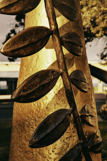 The Gold of the Kowhai - Standing four metres high, the Kowhai sculpture was created by renowned New Zealand artist Paul Dibble. It stands on the corner of Tennyson Street and Herschell Street, opposite MTG Hawke’s Bay.