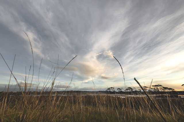 Zoom Out - Laying in golden grass watching clouds over the estuary