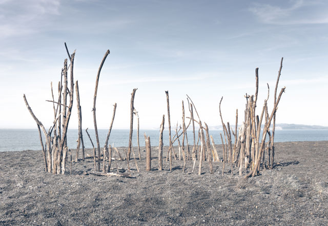 Sticks & Stones - A fort of driftwood sticks on Napier's stony beach