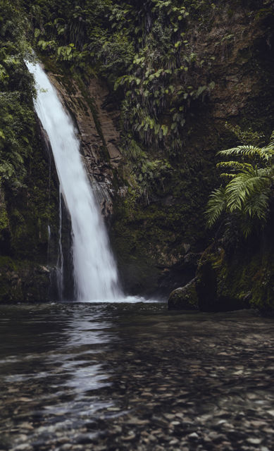 Te Ana Falls - This popular 20 metre waterfall can be found in the Tangoio Forest, about 25kms north from Napier, New Zealand