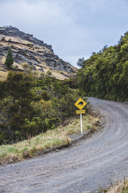 Kiwi Crossing II - A road sign warning the native New Zealand Kiwi birds may be on the road ahead