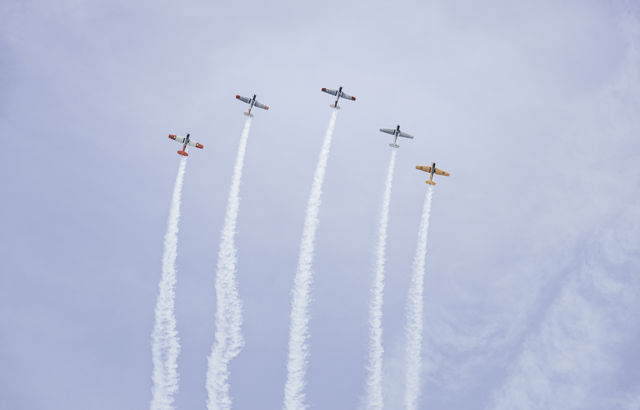 Five Aces - Five classic Harvard aircraft flying acrobatics in formation over Napier, New Zealand for Art Deco 2020