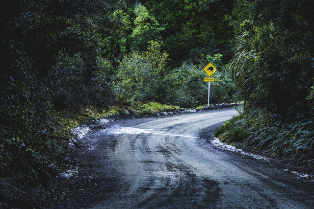 Kiwi Crossing - A Kiwi crossing road sign seen near Boundary Stream Reserve, Hawke's Bay