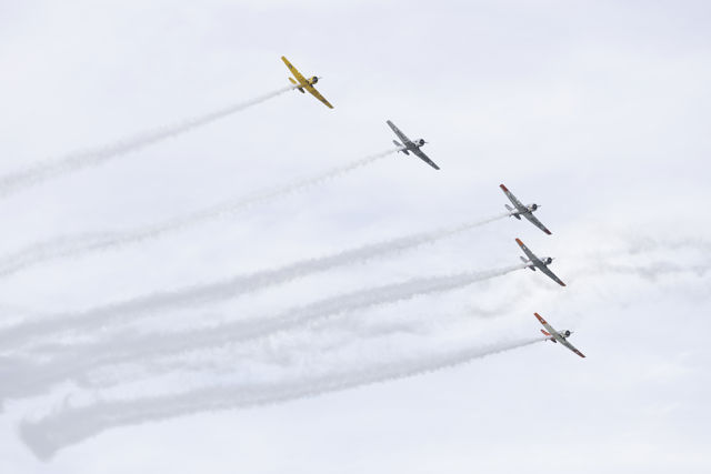 Five Aces II - Five classic Harvard aircraft flying acrobatics in formation over Napier, New Zealand for Art Deco 2020